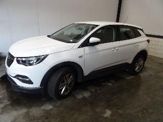 Sloopauto Opel Grandland 1.2 turbo 2018/3