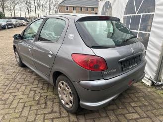 Peugeot 206 206 (2A/C/H/J/S), Hatchback, 1998 / 2012 1.4 XR,XS,XT,Gentry picture 5