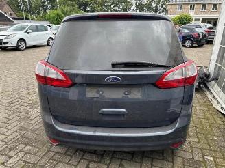 Ford Grand C-Max Grand C-Max (DXA), MPV, 2010 / 2019 1.6 SCTi 16V picture 6