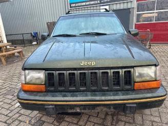 Jeep Grand-cherokee Grand Cherokee (ZJ), SUV, 1991 / 1999 5.2i V8 picture 2