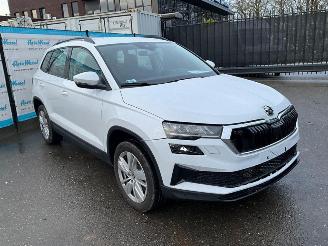 Skoda Karoq  picture 3