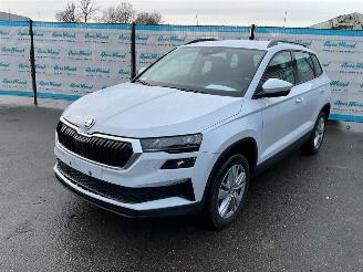 skadebil auto Skoda Karoq  2025/9