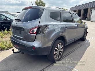 Nissan Qashqai+2 Qashqai +2 (JJ10E), SUV, 2007 / 2014 2.0 16V picture 3