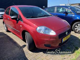 Fiat Punto Punto Evo (199), Hatchback, 2009 / 2012 1.3 JTD Multijet 85 16V Euro 5 picture 3