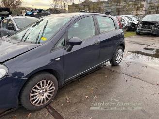 Fiat Punto Punto Evo (199), Hatchback, 2009 / 2012 1.2 Euro 5 picture 4