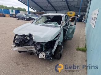 Toyota Rav-4 RAV4 (A5), Terreinwagen, 2018 2.5 Hybrid 16V AWD picture 3