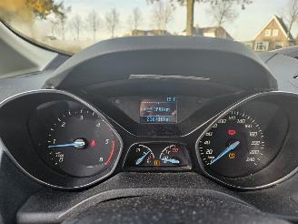 Ford Grand C-Max 1.6 TDCi 7-PERS 16V MPV  Diesel 1.560cc 85kW (116pk) FWD picture 15