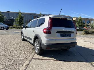 Dacia Jogger 1.0 TCe 110 Expression | 7 personen | 77.048 KM !! | picture 7