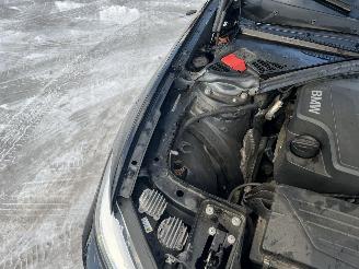 BMW  220i High Executive picture 20