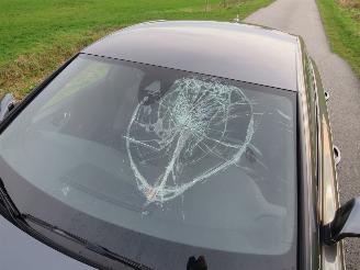 Audi A7 SPORTBACK 3.0 TDI Aut 272pk  Quattro S Line  Plus Euro 6 Vol Optie 2015-10 picture 8