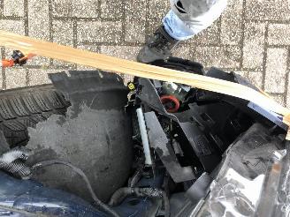 Ford Kuga Kuga 2.5 PHEV Titanium picture 9