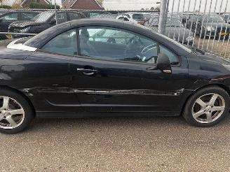 Peugeot 207 cc cabrio picture 7