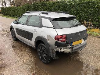 Citroën C4 cactus cactus 1.2 puretech picture 6