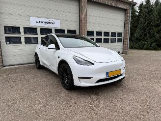 Tesla Model Y AWD 75 kWh Performance Leder Pano 1e Eig NAP picture 1