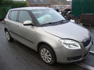 Skoda Fabia  picture 3