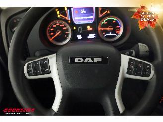 DAF XF 480 FTG Hydrauliek 6X2 Euro 6 picture 23