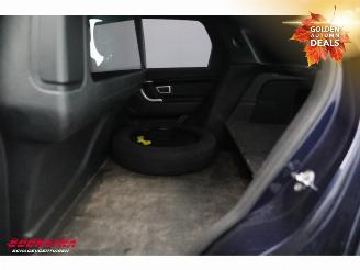 Landrover Discovery Sport 2.0 TD4 HSE VAN Commercial Navi Camera SHZ Leder picture 11