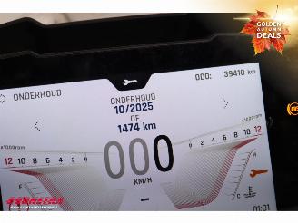 Triumph Tiger 900 Rally Pro ABS SHZ Heizgriffe Cruise picture 19