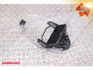 Triumph Tiger 900 Rally Pro ABS SHZ Heizgriffe Cruise picture 15