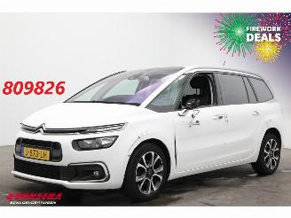 Avarii autoturisme Citroën Grand C4 SpaceTourer 1.2 PureTech Bns 7-Pers. Navi Clima Cruise Camera PDC AHK 46.725 km! 2020/9