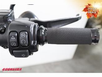 Harley-Davidson Sport Glide 107 FLSB 5HD LED ABS picture 29