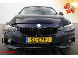 BMW 4-serie Gran Coupé Gran Coupé 420i Executive LED Navi Clima Cruise Camera SHZ PDC picture 12