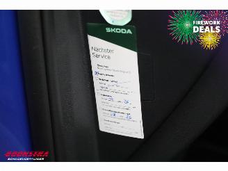 Skoda Enyaq 85 Sportline Matrix ACC LRHZ Camera Memory picture 27