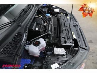 Skoda Enyaq 85 Sportline Matrix ACC LRHZ Camera Memory picture 6