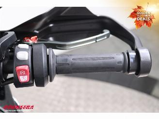 BMW S 1000 XR Dynamic Touring Cruise Heizgriffe picture 21