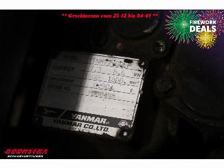   C 610 Compact BY 2011 Rupshijskraan Raupenkran picture 21