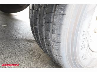 Schmitz Cargobull  SKO SKO Thermo King SLXi 300 Dhollandia 2X Lift BY 2020 picture 37