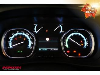 Citroën  L3 50 kWh Navi Clima Cruise PDC 13.841 km! picture 21