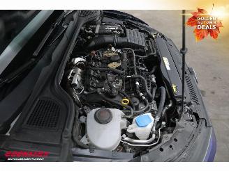 Volkswagen Golf 2.0 TSI R 4M. 20-Years 270km/h Pano H/K HUD Memory ACC LRHZ picture 6