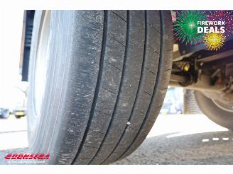 Krone  SD Kuhler Carrier Vector ME19 MT Doppelstock picture 25