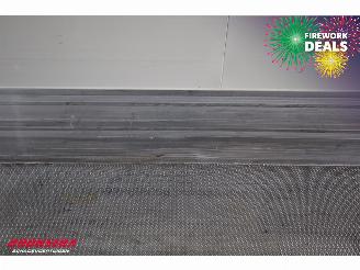 Krone  SD Kuhler Carrier Vector ME19 MT Doppelstock picture 13