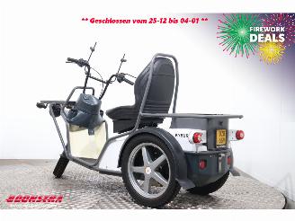   DXP BY 2020 picture 4