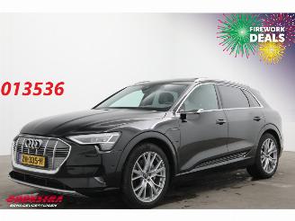 Avarii autoturisme Audi E-tron 55 Quattro MirrorCam 360° Memory SHZ AHK 2019/5
