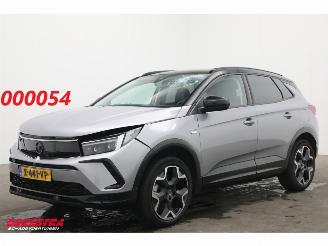 škoda osobní automobily Opel Grandland 1.6 Turbo Plug-In Hybrid GS LED ACC Apple/Android LRHZ AHK 2024/2