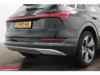 Audi E-tron 55 quattro 95 kWh Pano LED Cruise SHZ PDC picture 5
