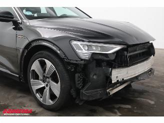 Audi E-tron 55 quattro 95 kWh Pano LED Cruise SHZ PDC picture 8