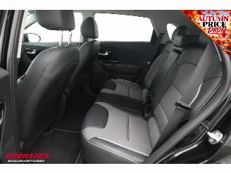 Kia e-Niro DynamicPlusLine 64 kWh Pano ACC Navi Clima Apple/Android Camera PDC picture 18