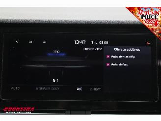 Kia e-Niro DynamicPlusLine 64 kWh Pano ACC Navi Clima Apple/Android Camera PDC picture 26