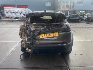 Land Rover Range Rover Range Rover Evoque II (LZC/LZS/LZH), SUV, 2018 2.0 P250 MHEV 16V AWD picture 4