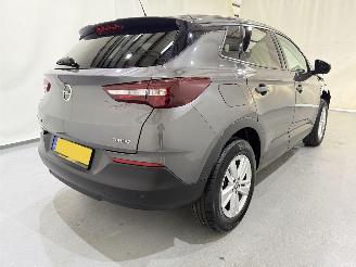 Opel Grandland X 1.2T Business Exe Automaat picture 14