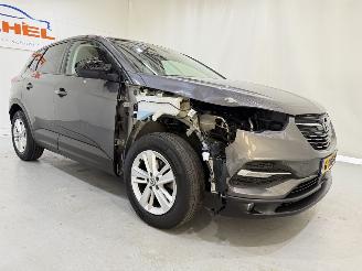Opel Grandland X 1.2T Business Exe Automaat picture 39