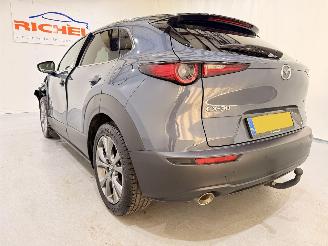 Mazda CX-30 2.0 E-Skyactiv X MHEV Luxury picture 45