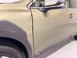 Subaru Outback 2.5i Premium AWD Aut8 picture 17