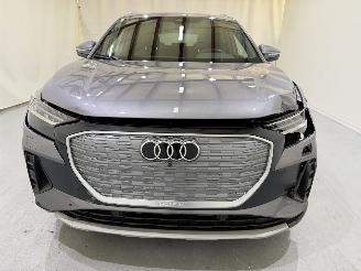 Audi Q4 e-tron 40 Edition Pano picture 2