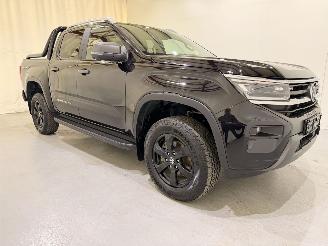 Volkswagen Amarok DC 3.0 TDI V6 PanAmericana 4Motion Aut10 picture 40