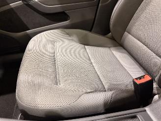 Volkswagen e-Golf VII HB E-DITION Aut picture 21